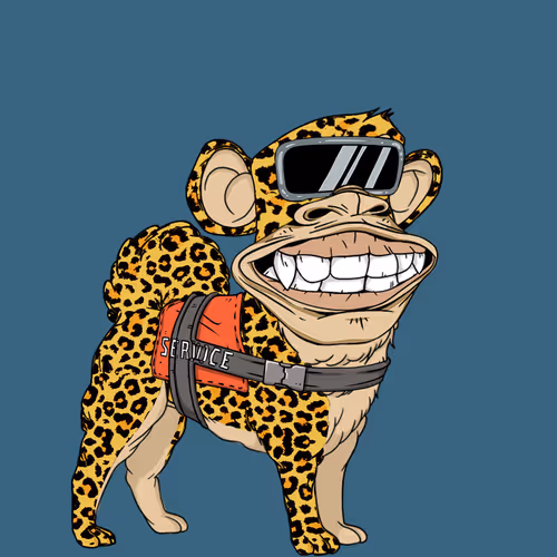 Kennel Apes