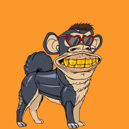 Kennel Apes