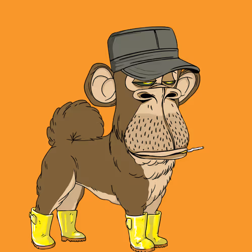 Kennel Apes
