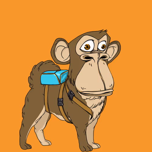 Kennel Apes