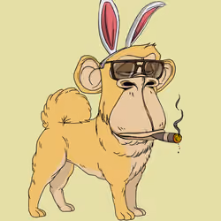 Kennel Ape #7176