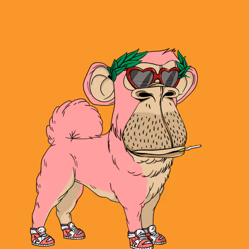 Kennel Apes