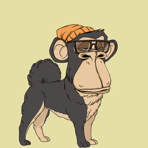 Kennel Apes