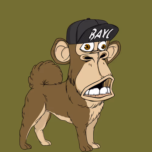 Kennel Apes