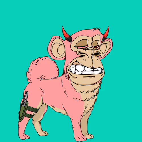 Kennel Apes