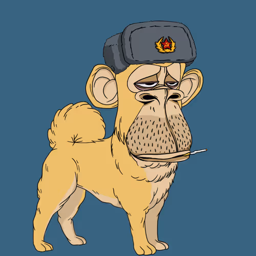 Kennel Apes