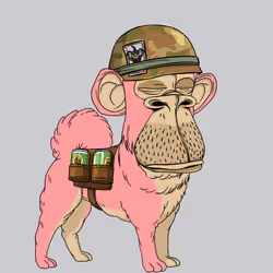 Kennel Ape #2008