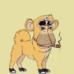 Kennel Ape #953