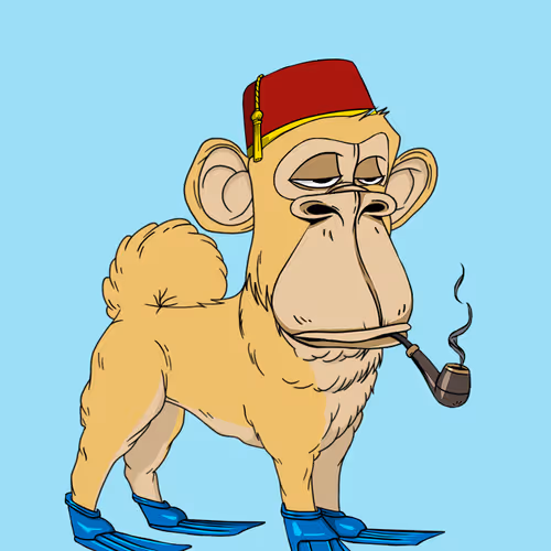 Kennel Apes
