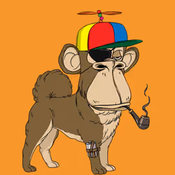 Kennel Ape #3555
