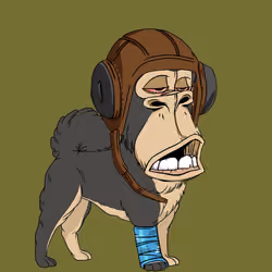 Kennel Ape #5927