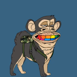 Kennel Ape #9651