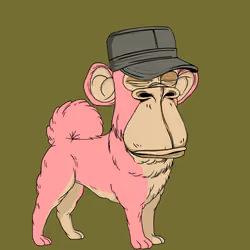 Kennel Ape #488