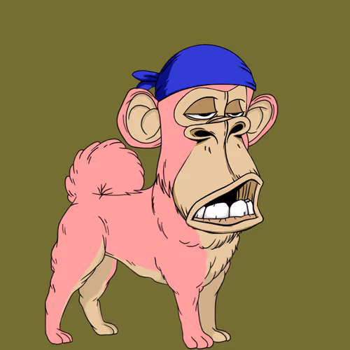 Kennel Apes