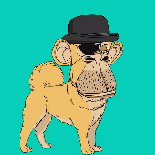 Kennel Apes