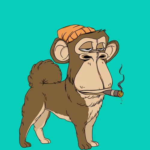 Kennel Apes