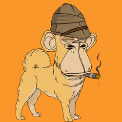 Kennel Ape #6652