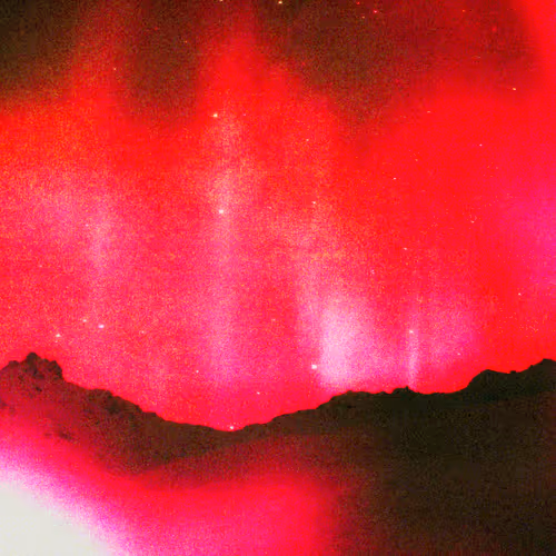 312937532214443571390768864567194499514