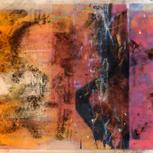 Scars 8
