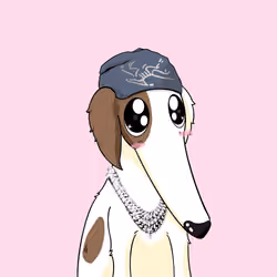 Goodboi #1903