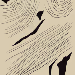 Patura #403