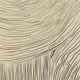 80