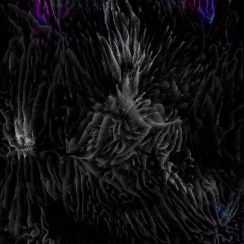 David Oreilly X Flying Lotus 1 973445775