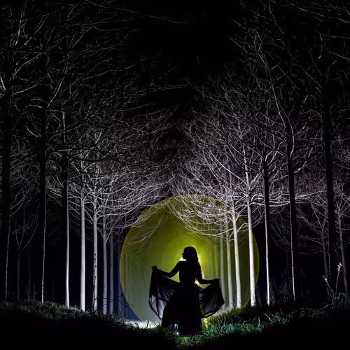 Hiddenforests