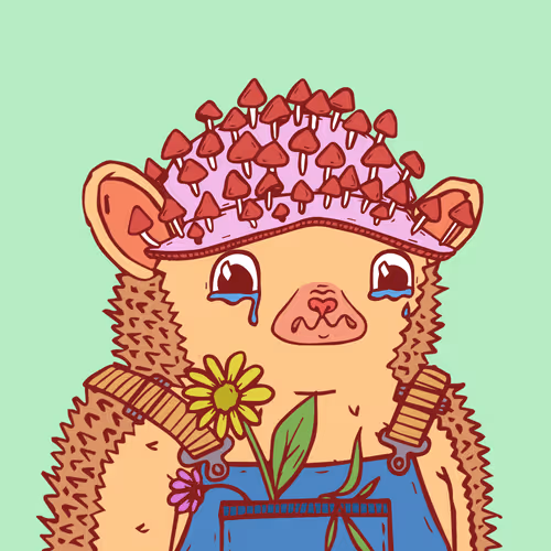 Hedgiez Legacy