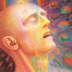 Within a new reality