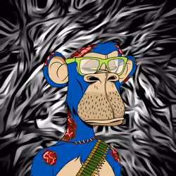 JAOAPES 16