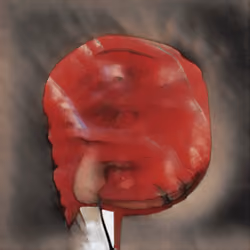 697