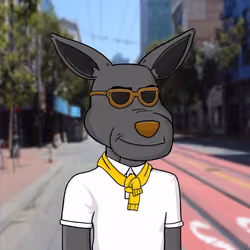 Polished Roo Kangaroo