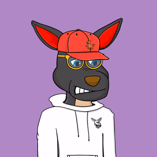 Kangarooheroes