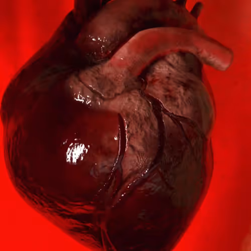 The Worlds Largest Trailer