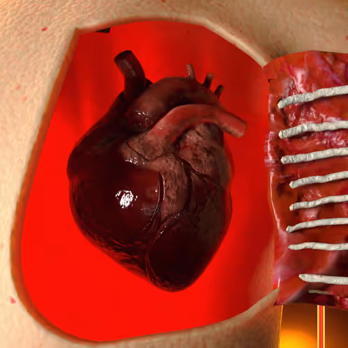The Worlds Largest Trailer