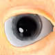 12067