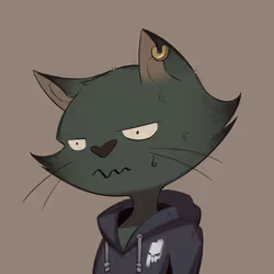 383