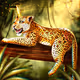 Keepers of flora and fauna