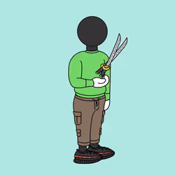 Companion #4388