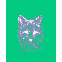 WAGwtf #426