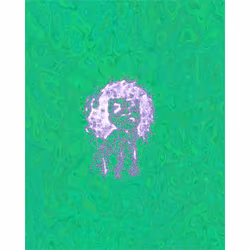 WAGwtf #1426