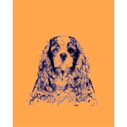 WAGwtf #3687