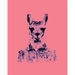 WAGwtf #2132