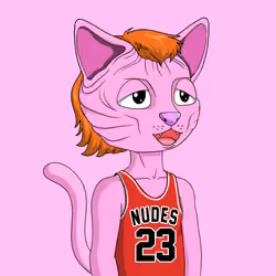 Nudie Community Official #8520