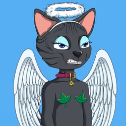 Nudie Community Official #4009
