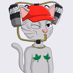 Nudie Community Official #5048