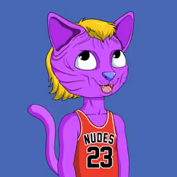 Nudie Community Official #3878