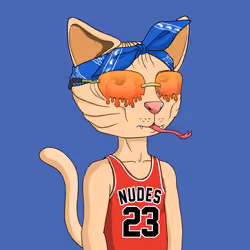 Nudie Community Official #5387
