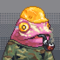 Toadkens #3047